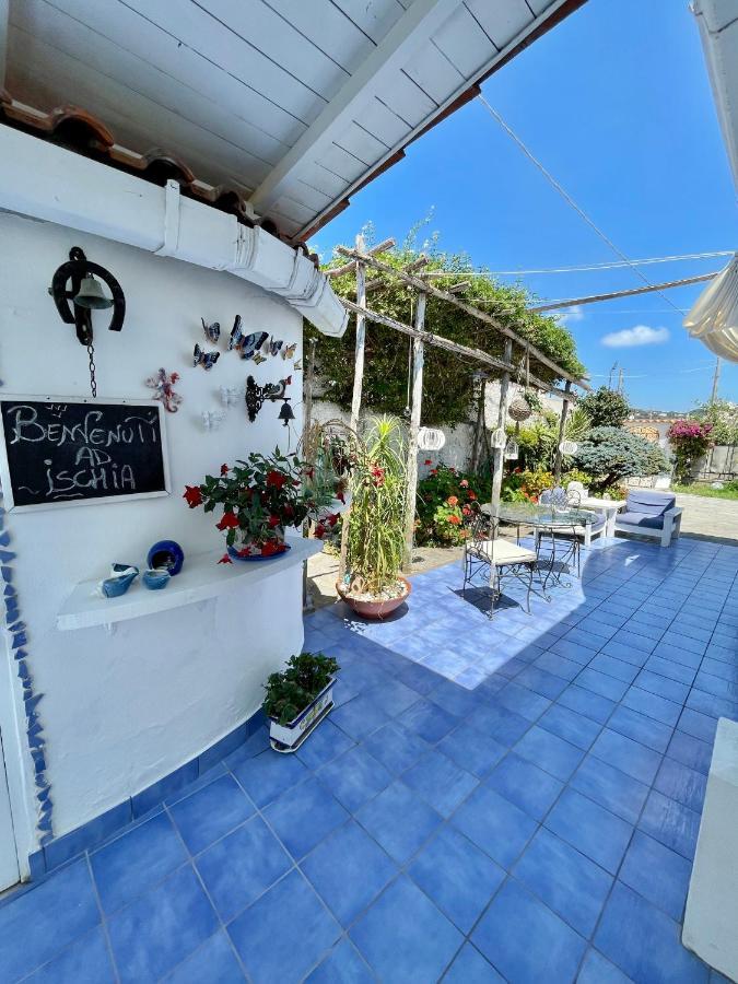 La Bicocca Di Annavi Bed & Breakfast Forio  Ngoại thất bức ảnh
