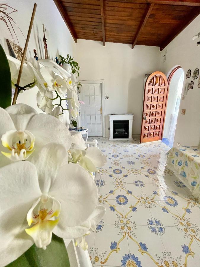 La Bicocca Di Annavi Bed & Breakfast Forio  Ngoại thất bức ảnh